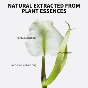 C402 Silkie - Desert Brown 5