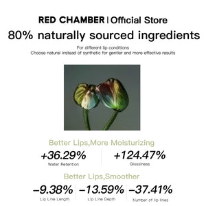 DS400 Wandering Thoughts 4