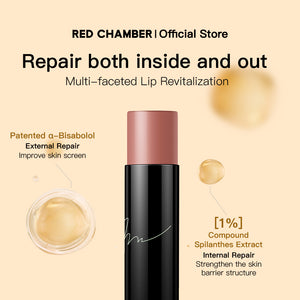 DS500 Lingering Reverie 3