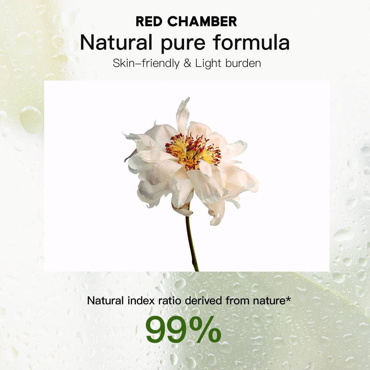 RED CHAMBER WANDERING Flawless Compact Powder